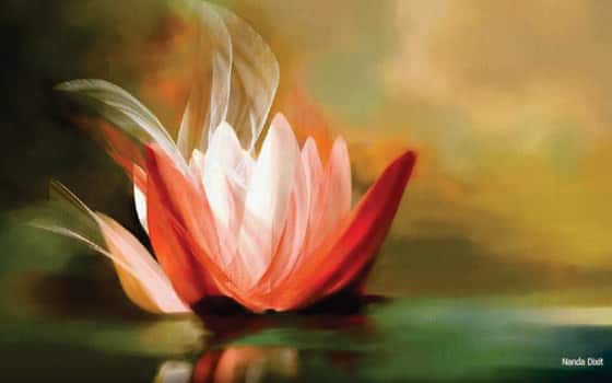 corel photo paint 2020 corel photo paint 2020